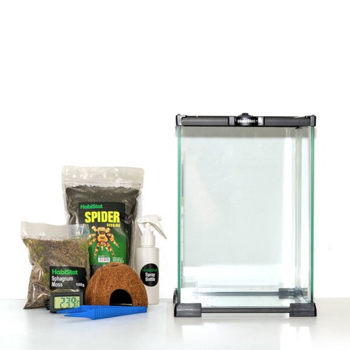 Invertebrate glass terrarium - invertebrate,