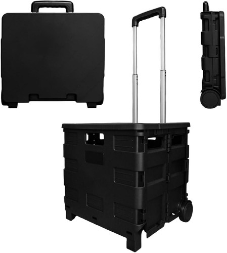 Berry 40l foldable - berry,