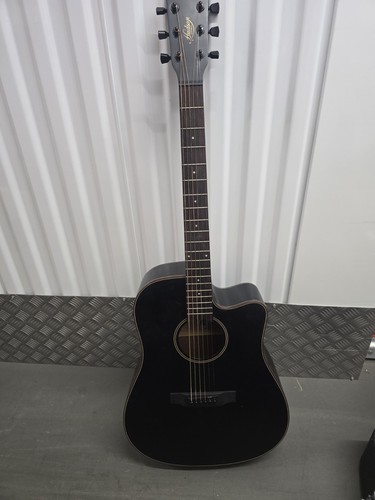 Hudson electric acoustic - hudson,