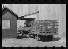 Trucks unloading sacks of