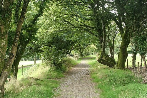 Photo 6x4 gulworthy near - gulworthy:, the