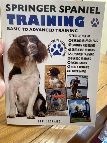 Springer spaniel training - spaniel,