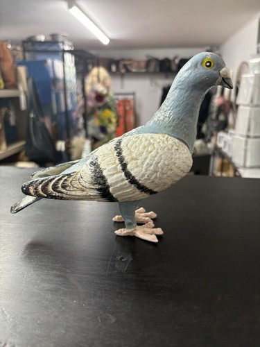 Solid cast iron - iron, pigeon
