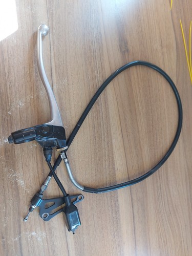 Triumph sprint 955i - triumph,