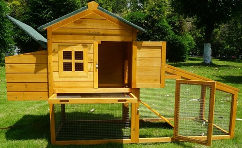 Chicken coop run - run, hen