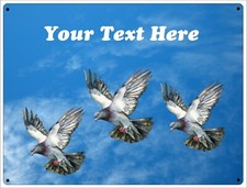 PERSONALISED PIGEON LOFT SHED ANY NAME HOMING RACING SHED METAL PLAQUE SIGN HOME