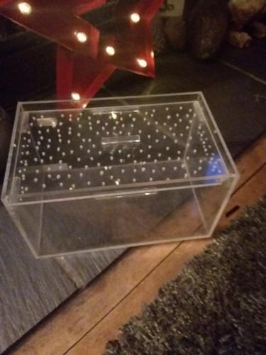 Acrylic perspex insect - perspex, reptile