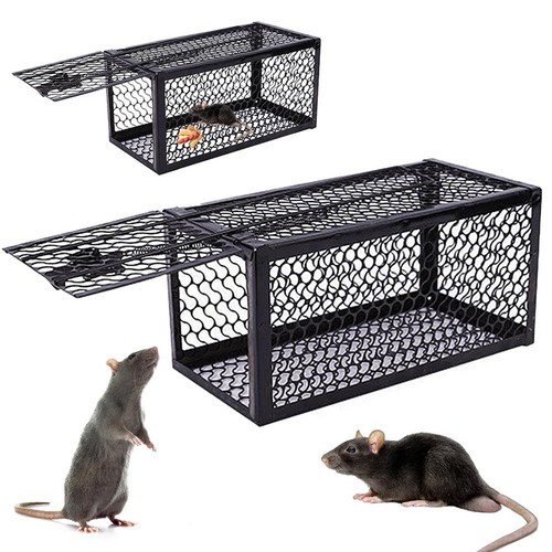 Squirrel rat trap - squirrel, /