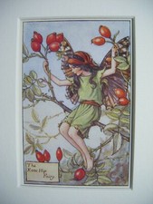Vintage Flower Fairies Print & Mount The Rosehip Fairy Cicely Barker c1930's 
