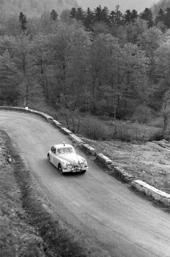 Whatton jaguar - e,