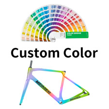Carbon Gravel Frameset