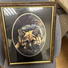 Large Framed Pollyanna