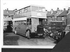 GREYHOUND - EX RIBBLE - GUY / N.COUNTIES - ACK801 - BUS PHOTO  #REF.B772