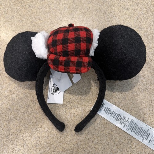 Disney parks mickey mouse - parks,