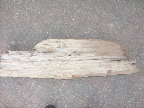 Large driftwood - large,