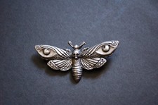 Death's head moth pewter