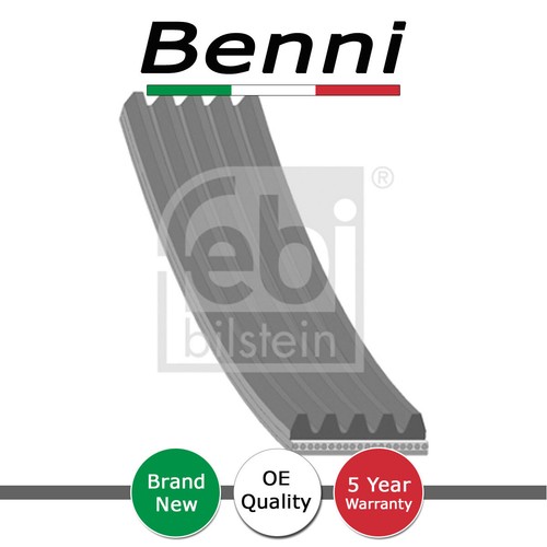 Ribbed drive belt benni - drive,