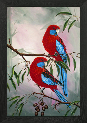 Rosellas framed wall art - framed,