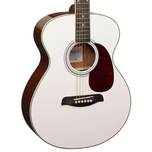 Brunswick bf200 acoustic - brunswick,