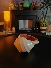 Vintage Poole Pottery Conch