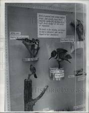 1965 Press Photo Wisconsin