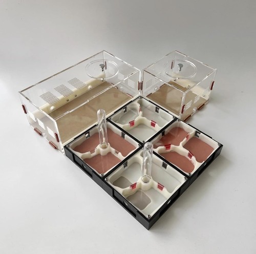 Acrylic ant farm habitat - acrylic,