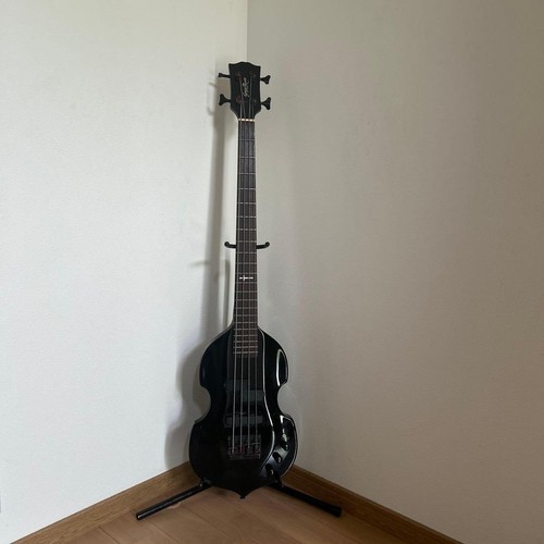 Luna sea violin - j, model