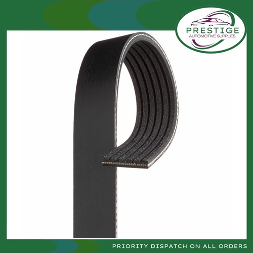 Gates ribbed belt 6pk818 - belt,