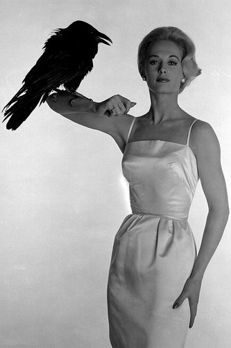 614832 tippi hedren american - tippi,