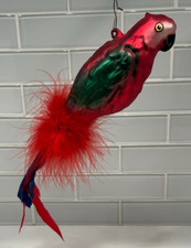 Glass Macaw Parrot Bird Red