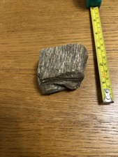 Fossilised Petrified Wood