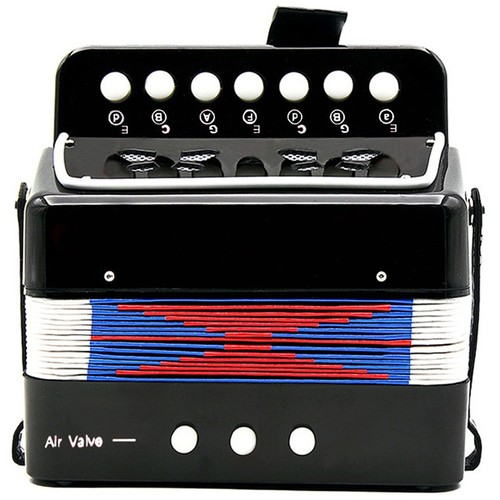Kids accordion - ,