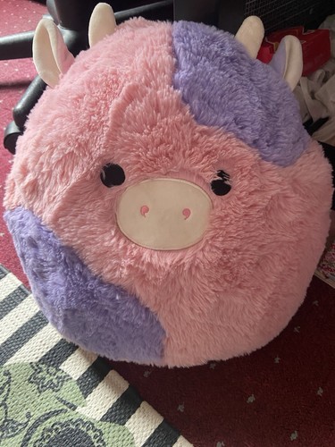 Squishmallows - , 12”