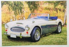 1967 Austin Healey White Nice