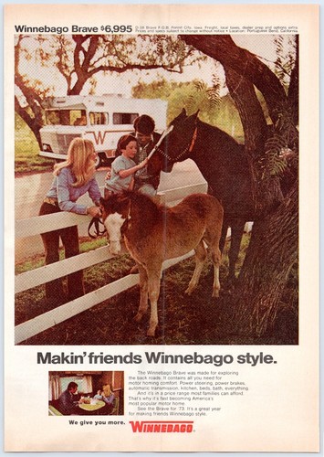 Winnebago brave motor - brave, home