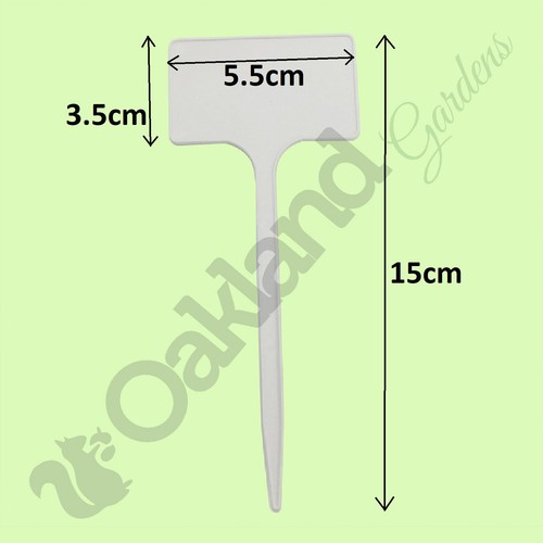 Seed plant labels white - seed,