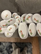 Melamine Plastic Picnic 16