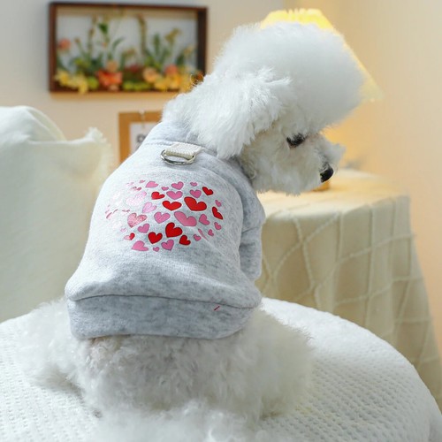 Small dogs coat sweatshirts - small,
