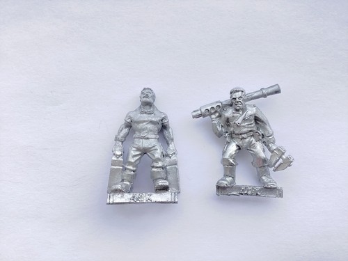 Warhammer 40k imperial guard - warhammer,