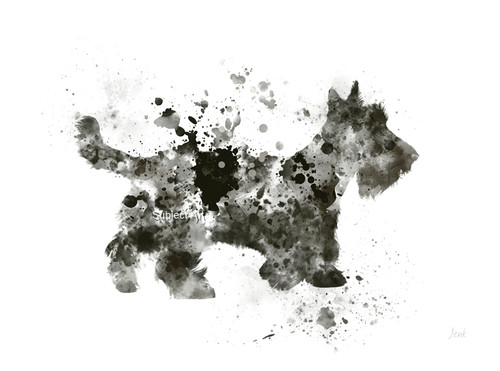 Scottish terrier art print - terrier,