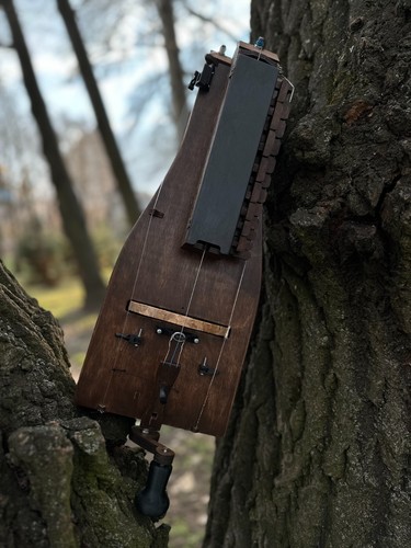 Hurdy gurdy string - -,