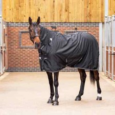 Shires Tempest Original 0G