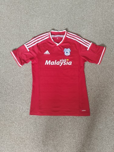 Cardiff city wales 2016 - cardiff,