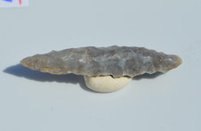 High grade prehistoric - high,