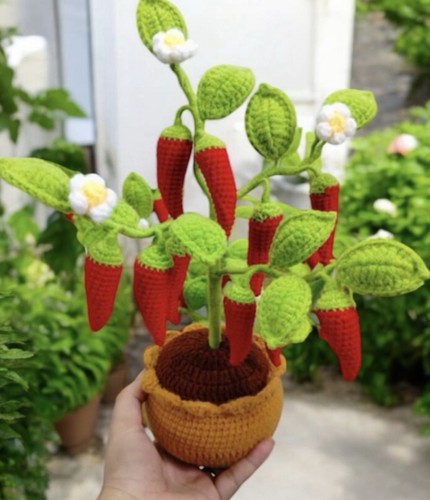 New red chili pepper tree - new!,