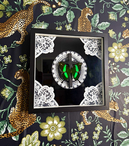 Mounted green butterfly - green,