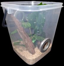 Arboreal Invertebrate Reptile