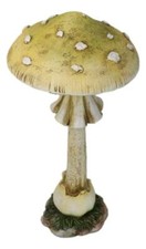 Enchanted Fairy Garden Yellow