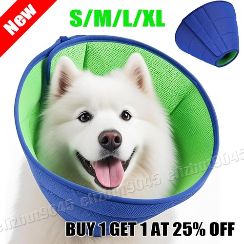 Soft dog cone collar - dog, dogs