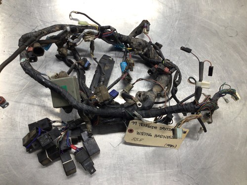 1999 triumph daytona 955i - 1999, oem